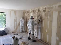 Mold Removal for HVAC Installations